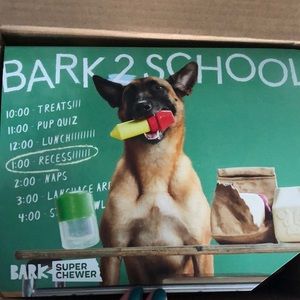 BARK Super Chewer Box